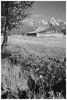 Pasture and historical barn at the base of mountain range. Grand Teton National Park, Wyoming, USA. (black and white)