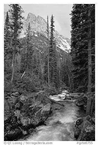 Cascade Creek and Tetons. Grand Teton National Park (black and white)