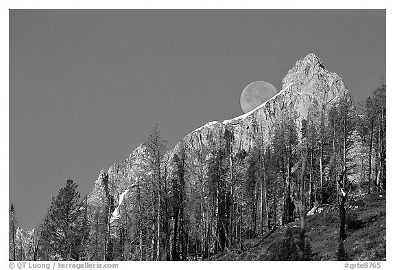 Moon and Grand Teton. Grand Teton National Park (black and white)