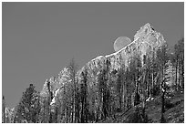 Moon and Grand Teton. Grand Teton National Park, Wyoming, USA. (black and white)