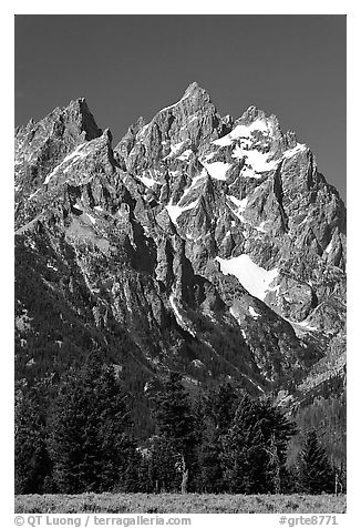 Rocky peaks of Cathedral group, morning. Grand Teton National Park (black and white)