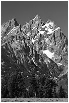Rocky peaks of Cathedral group, morning. Grand Teton National Park ( black and white)