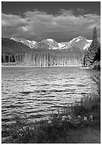 Windy morning, Sprague Lake. Rocky Mountain National Park, Colorado, USA. (black and white)