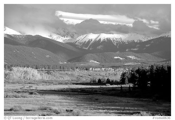 Fall color and mountain range. Colorado, USA (black and white)