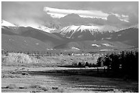 Fall color and mountain range. Colorado, USA ( black and white)
