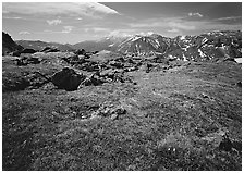 Alpine tundra near Trail Ridge Road in summer. Rocky Mountain National Park ( black and white)