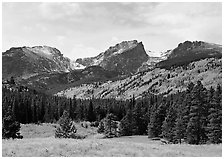 Hallett Peak and Flattop Mountain in autumn. Rocky Mountain National Park ( black and white)