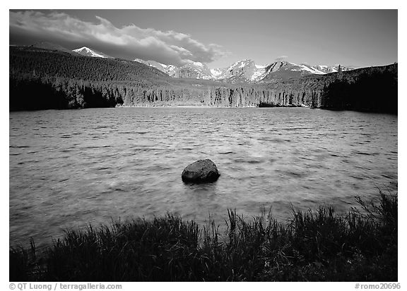 Windy morning, Sprague Lake. Rocky Mountain National Park (black and white)