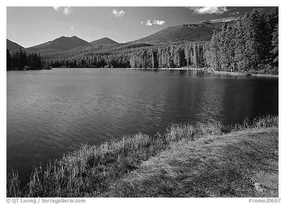 Sprague Lake, morning. Rocky Mountain National Park (black and white)