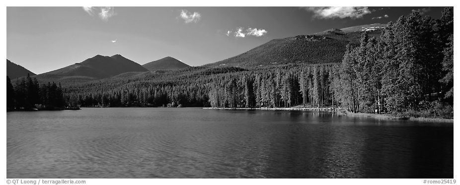 Clear lake with forested shores. Rocky Mountain National Park (black and white)
