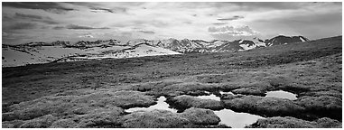 Alpine meadow in autumn. Rocky Mountain National Park (Panoramic black and white)