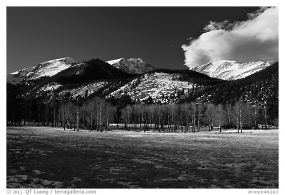 Aspens and mountains, West Horseshoe Park, winter. Rocky Mountain National Park (black and white)