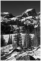 Bear Lake, winter morning. Rocky Mountain National Park ( black and white)