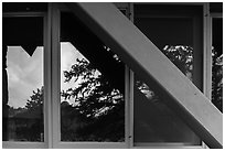Foothills and trees, Beaver Meadows Visitor Center window reflexion. Rocky Mountain National Park ( black and white)