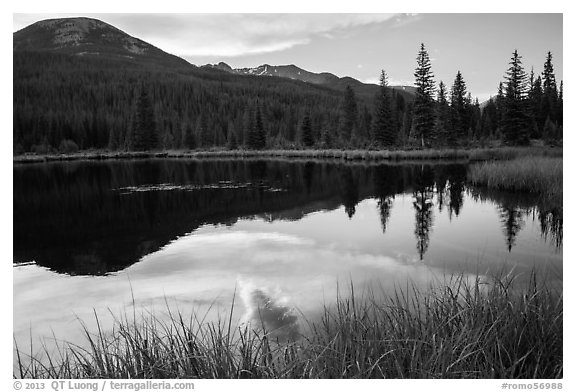 Beaver Pond, Kawuneeche Valley. Rocky Mountain National Park, Colorado, USA.