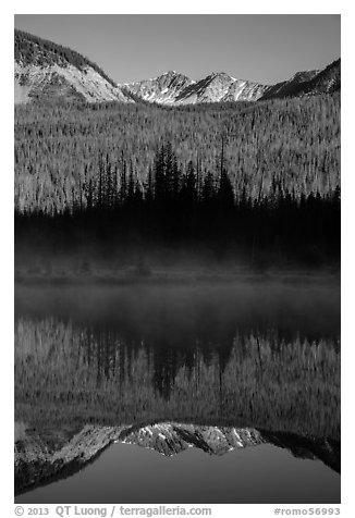 Never Summer Mountains reflected in beaver pond. Rocky Mountain National Park (black and white)
