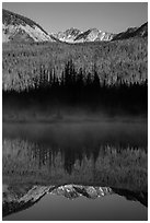 Never Summer Mountains reflected in beaver pond. Rocky Mountain National Park ( black and white)