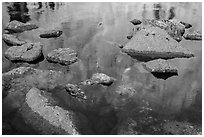 Longs Peak reflections in Chasm Lake. Rocky Mountain National Park ( black and white)