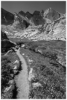 Trail, stream, and Longs Peak. Rocky Mountain National Park ( black and white)