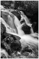 Stream cascading over rocks. Rocky Mountain National Park ( black and white)