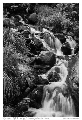 Cascading stream. Rocky Mountain National Park (black and white)