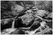 Upper Copeland Falls, Wild Basin. Rocky Mountain National Park ( black and white)