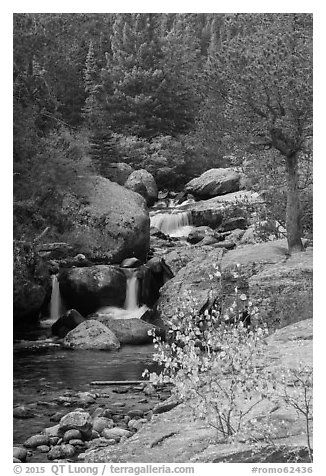 Upper Copeland Falls in autumn. Rocky Mountain National Park (black and white)