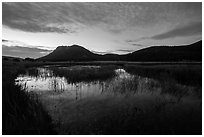 Sheep Lakes at dawn. Rocky Mountain National Park ( black and white)