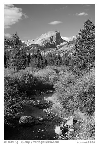 Creek and Hallet Peak in autumn. Rocky Mountain National Park (black and white)