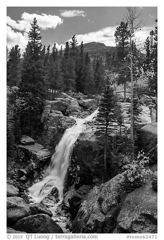 Alberta Falls and mountains. Rocky Mountain National Park (black and white)