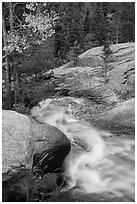 Brink of Alberta Falls. Rocky Mountain National Park ( black and white)