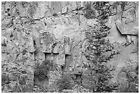 Walls of gorge. Rocky Mountain National Park ( black and white)
