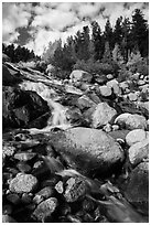 Alluvial Fan cascades. Rocky Mountain National Park ( black and white)