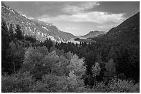Old Fall River valley in autumn. Rocky Mountain National Park ( black and white)