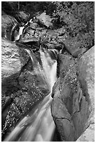 Cascades above Chasm Falls. Rocky Mountain National Park ( black and white)