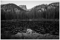Hallet Peak above Nymph Lake at sunrise. Rocky Mountain National Park ( black and white)
