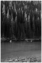 Boulders and forest on Dream Lake shore. Rocky Mountain National Park ( black and white)