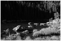 Grasses, boulders, lakeshore, Dream Lake. Rocky Mountain National Park ( black and white)