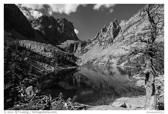 Emerald Lake. Rocky Mountain National Park (black and white)