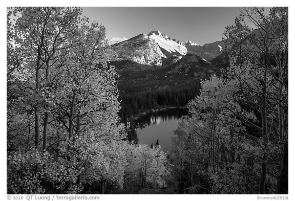 Longs Peak rising above Bear Lake and aspens in autumn foliage. Rocky Mountain National Park (black and white)