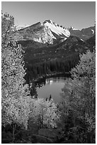 Longs Peaks, Bear Lake, yellow and orange aspens. Rocky Mountain National Park ( black and white)
