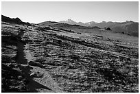 Ute Trail crossing alpine tundra. Rocky Mountain National Park ( black and white)