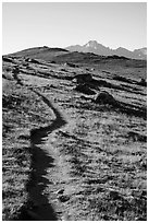 Ute Trail. Rocky Mountain National Park ( black and white)