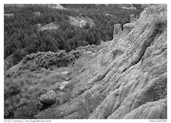 Badlands with Caprock chimneys, North Unit. Theodore Roosevelt National Park (black and white)