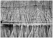 Erosion formations. Theodore Roosevelt National Park, North Dakota, USA. (black and white)