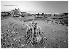 Pedestal petrified log and petrified stump sunset,. Theodore Roosevelt National Park, North Dakota, USA. (black and white)