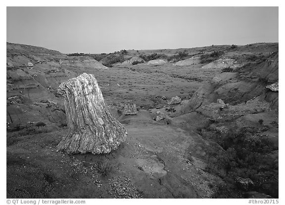 Petrified log stump at dusk, South Unit. Theodore Roosevelt  National Park (black and white)