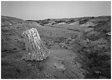 Petrified log stump at dusk, South Unit. Theodore Roosevelt National Park ( black and white)