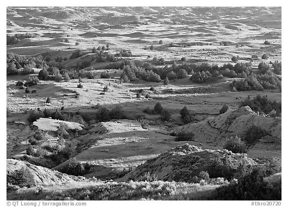 Prairie, trees, and badlands, Boicourt overlook, South Unit. Theodore Roosevelt National Park (black and white)