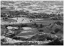 Prairie, trees, and badlands, Boicourt overlook, South Unit. Theodore Roosevelt  National Park ( black and white)